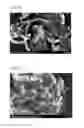 Fig. 02 - Metal Nano Catalyst, Method for Preparing the Same and Method for Controlling the Growth Types of Carbon Nanotubes Using the Same