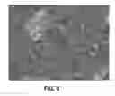 Fig. 07 - HIGH TEMPERATURE STABLE ANATASE TITANIUM DIOXIDE