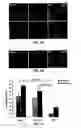 Fig. 09 - METHODS AND AGENTS FOR MODULATING AN IMMUNE RESPONSE