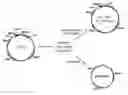 Fig. 01 - Obligately anaerobic mutant lactic acid bacterium and preparation method therefor, and expression vector functioning in obligately anaerobic lactic acid bacterium