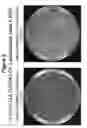 Fig. 03 - Obligately anaerobic mutant lactic acid bacterium and preparation method therefor, and expression vector functioning in obligately anaerobic lactic acid bacterium