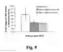 Fig. 09 - Methods and composition for treating neural degeneration