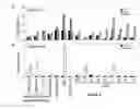 Fig. 04 - METHOD AND ASSAY FOR GLYCOSYLATION PATTERN DETECTION RELATED TO CELL STATE OF STEM CELLS