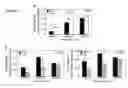 Fig. 09 - METHOD AND ASSAY FOR GLYCOSYLATION PATTERN DETECTION RELATED TO CELL STATE OF STEM CELLS