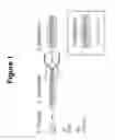 Fig. 02 - Selective cytopheresis devices and related methods thereof