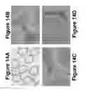 Fig. 23 - Selective cytopheresis devices and related methods thereof