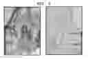 Fig. 02 - EC SOD and use thereof