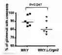 Fig. 01 - TREATMENT OF INFLAMMATORY DISEASES