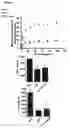 Fig. 03 - TREATMENT OF INFLAMMATORY DISEASES
