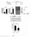 Fig. 04 - TREATMENT OF INFLAMMATORY DISEASES