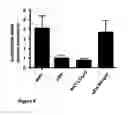 Fig. 09 - TREATMENT OF INFLAMMATORY DISEASES