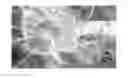 Fig. 01 - Endophytic fungi from sp. plant, compounds and methods of use