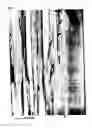 Fig. 03 - Filmy graphite and process for producing the same