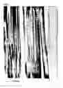 Fig. 07 - Filmy graphite and process for producing the same