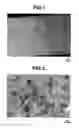 Fig. 02 - Negative electrode material for nonaqueous electrolyte secondary battery