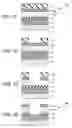 Fig. 02 - Reflective mask blank, method of manufacturing a reflective mask blank and method of manufacturing a reflective mask