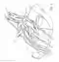 Fig. 02 - ADJUSTABLE DENTAL WHIP ARM