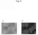 Fig. 04 - PEPTIDE HAVING LIFE-LENGTHENING EFFECT ON CELLS