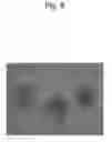 Fig. 09 - PEPTIDE HAVING LIFE-LENGTHENING EFFECT ON CELLS