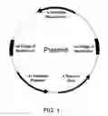 Fig. 02 - Genetically engineered biological indicator