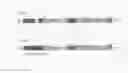 Fig. 02 - Formation/elongation of axon by inhibiting the expression or function of Singar and application to nerve regeneration