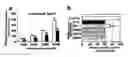 Fig. 09 - Stem cell-based culture system for drug development