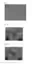 Fig. 02 - Separation of Co-Cultivated Cell Populations