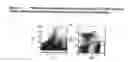 Fig. 02 - Identification and isolation of transitional cell carcinoma stem cells