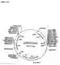 Fig. 06 - RECOMBINATIONAL CLONING USING NUCLEIC ACIDS HAVING RECOMBINATION SITES