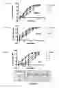Fig. 02 - Methods of determining potency of chemically-synthesized oligonucleotides