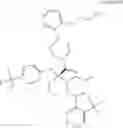 Fig. 28 - HDM2 polypeptides