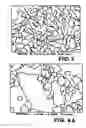 Fig. 09 - Nano-ceramics and method thereof