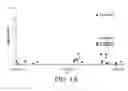 Fig. 02 - Compositions And Methods For Identifying And Treating Subjects At Risk Of Developing Type 2 Diabetes