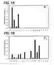 Fig. 02 - COMPOUNDS WHICH INHIBIT BETA-SECRETASE ACTIVITY AND METHODS OF USE THEREOF