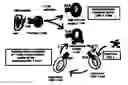 Fig. 01 - Methods to activate or block the HLA-E/Qa-1 restricted CD8+ T cell regulatory pathway to treat immunological disease