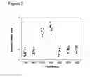 Fig. 06 - Methods to activate or block the HLA-E/Qa-1 restricted CD8+ T cell regulatory pathway to treat immunological disease