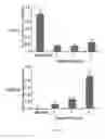 Fig. 04 - Myeloid differentiation inducing agents