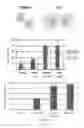 Fig. 07 - Myeloid differentiation inducing agents