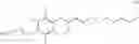 Fig. 24 - Protein phosphatase 2A-activating agents