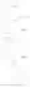 Fig. 99 - Carbacephem β-lactam antibiotics