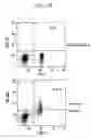 Fig. 02 - Immunosuppressive agent and anti-tumor agent comprising heterocyclic compound as active ingredient