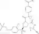 Fig. 303 - Proline derivatives