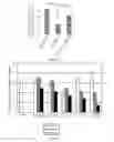 Fig. 06 - Synergistic Modulation of Microglial Activation by Nicotine and THC