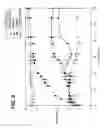 Fig. 04 - Pharmaceutical compositions and methods of treating dry eye disorders