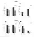 Fig. 06 - Method of Decreasing Pro-ADAM10 Secretase and/or Beta Secretase Levels