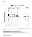 Fig. 02 - Pharmaceutical Compositions and Methods for CCR5 Antagonists
