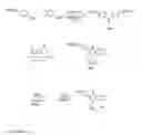 Fig. 08 - Estrogen receptor ligands and methods of use thereof