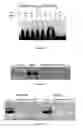 Fig. 09 - Double stranded nucleic acid targeting low copy promoter-specific RNA