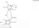 Fig. 47 - Metallocene compounds, catalysts comprising them, process for producing an olefin polymer by use of the catalysts, and olefin homo- and copolymers