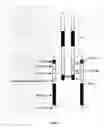 Fig. 02 - Structure of the insulin receptor ectodomain